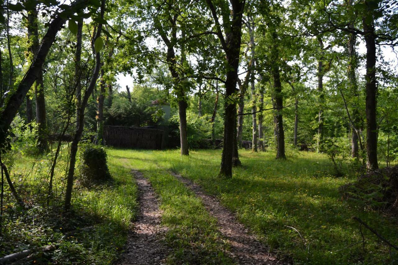 Вілла Ferme De Mouline Sainte-Foy-la-Longue Екстер'єр фото